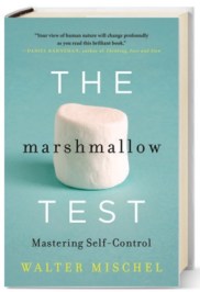 Marshmallow Test Cover 2